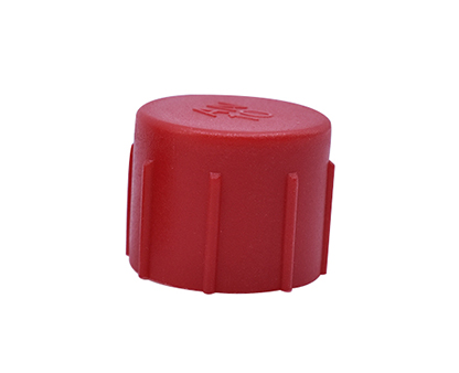 AN Cap Female Plastic